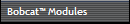 Bobcat Modules